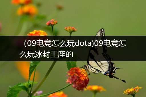 （09电竞怎么玩dota)09电竞怎么玩冰封王座的