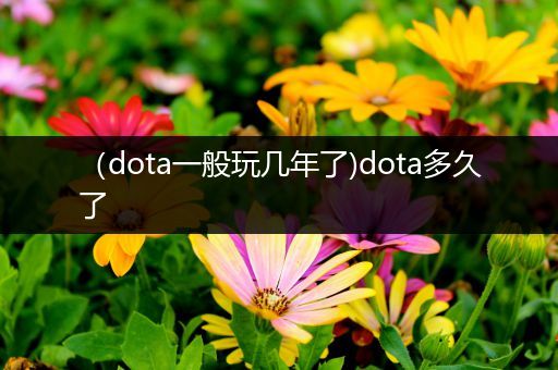 （dota一般玩几年了)dota多久了