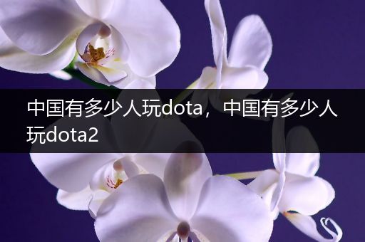 中国有多少人玩dota，中国有多少人玩dota2