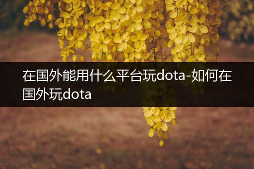 在国外能用什么平台玩dota-如何在国外玩dota