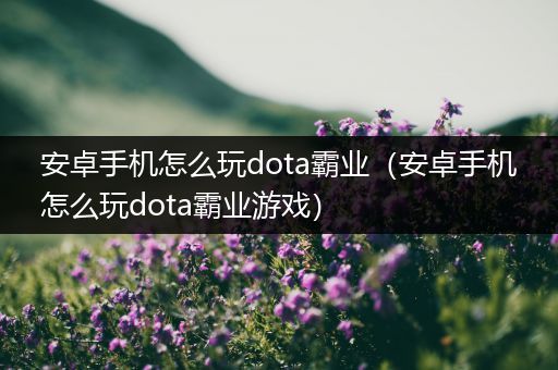 安卓手机怎么玩dota霸业（安卓手机怎么玩dota霸业游戏）