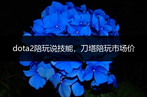 dota2陪玩说技能，刀塔陪玩市场价