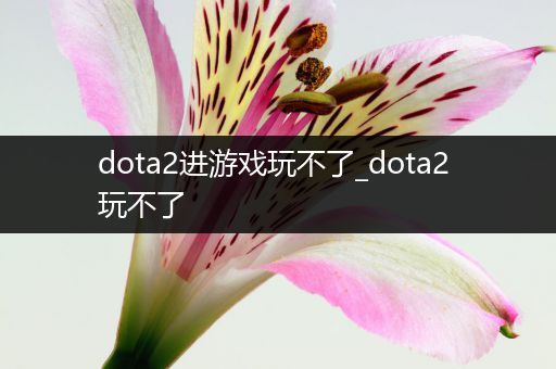 dota2进游戏玩不了_dota2 玩不了