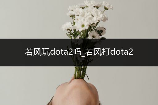 若风玩dota2吗_若风打dota2