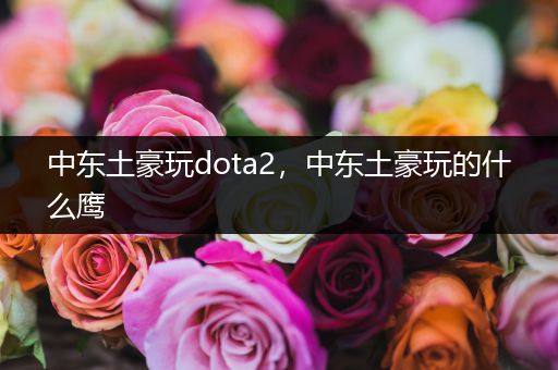 中东土豪玩dota2，中东土豪玩的什么鹰