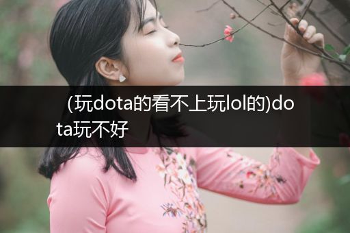 （玩dota的看不上玩lol的)dota玩不好
