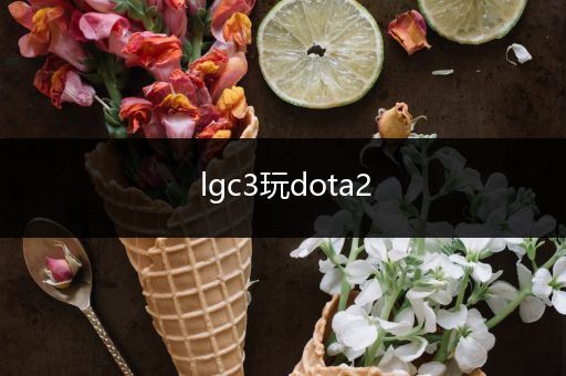 lgc3玩dota2