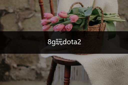 8g玩dota2