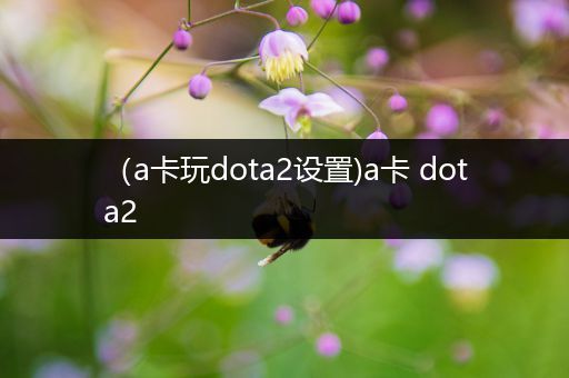 （a卡玩dota2设置)a卡 dota2