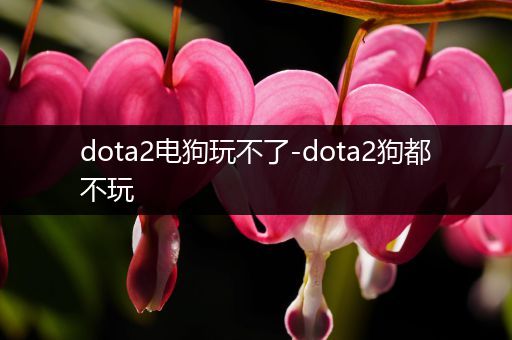 dota2电狗玩不了-dota2狗都不玩