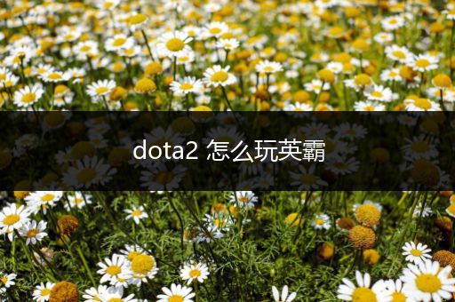 dota2 怎么玩英霸
