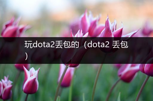 玩dota2丢包的（dota2 丢包）