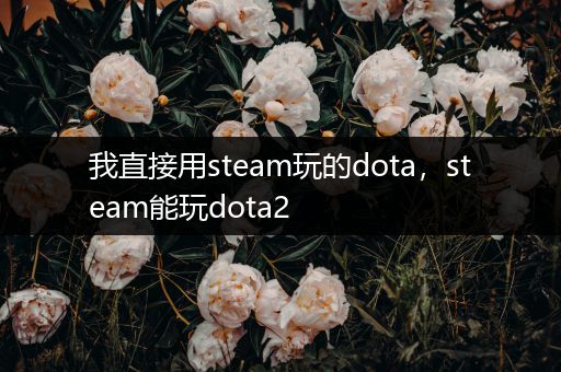 我直接用steam玩的dota，steam能玩dota2