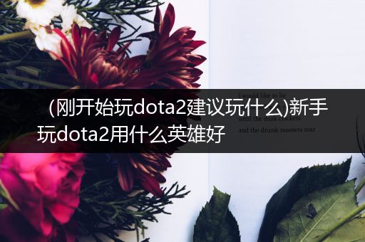 （刚开始玩dota2建议玩什么)新手玩dota2用什么英雄好