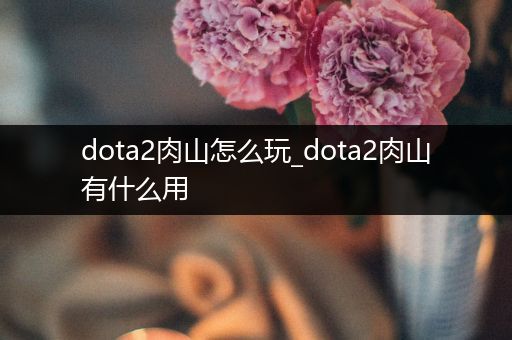 dota2肉山怎么玩_dota2肉山有什么用