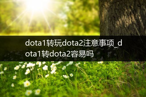 dota1转玩dota2注意事项_dota1转dota2容易吗