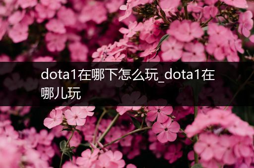 dota1在哪下怎么玩_dota1在哪儿玩
