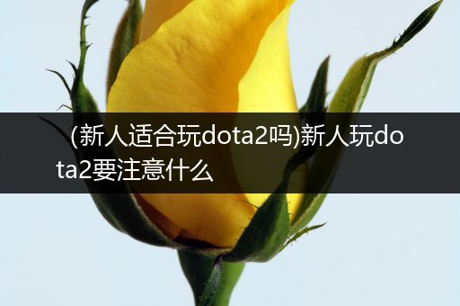 （新人适合玩dota2吗)新人玩dota2要注意什么