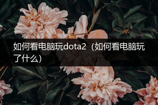如何看电脑玩dota2（如何看电脑玩了什么）