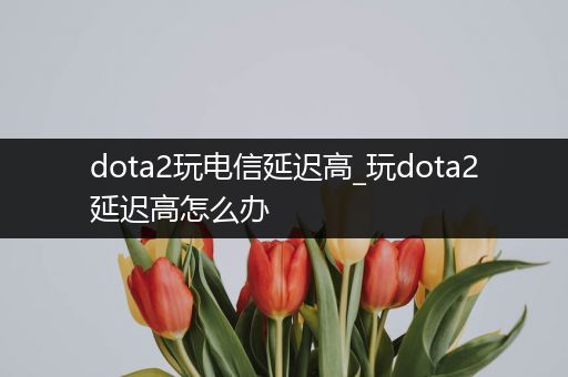 dota2玩电信延迟高_玩dota2延迟高怎么办