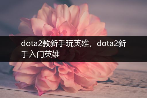 dota2教新手玩英雄，dota2新手入门英雄