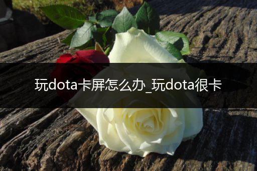 玩dota卡屏怎么办_玩dota很卡