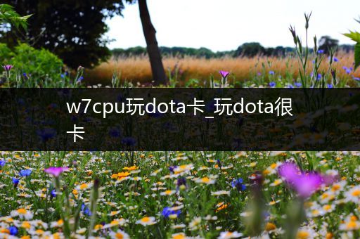 w7cpu玩dota卡_玩dota很卡