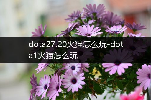 dota27.20火猫怎么玩-dota1火猫怎么玩