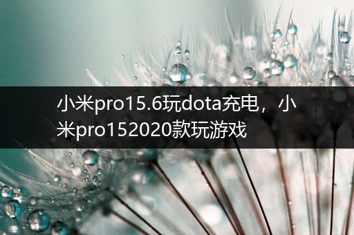 小米pro15.6玩dota充电，小米pro152020款玩游戏