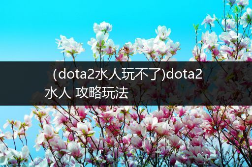 （dota2水人玩不了)dota2 水人 攻略玩法