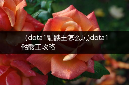 （dota1骷髅王怎么玩)dota1骷髅王攻略