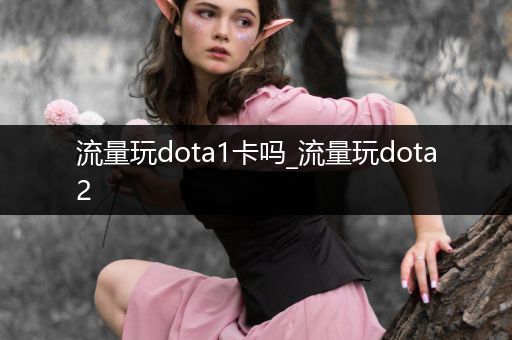 流量玩dota1卡吗_流量玩dota2