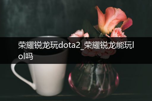 荣耀锐龙玩dota2_荣耀锐龙能玩lol吗