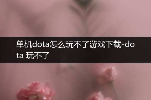 单机dota怎么玩不了游戏下载-dota 玩不了