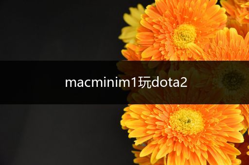 macminim1玩dota2