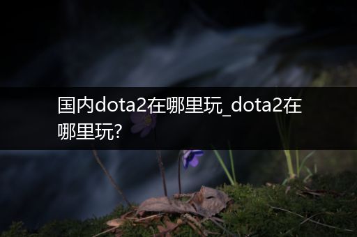 国内dota2在哪里玩_dota2在哪里玩?