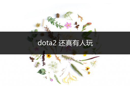 dota2 还真有人玩