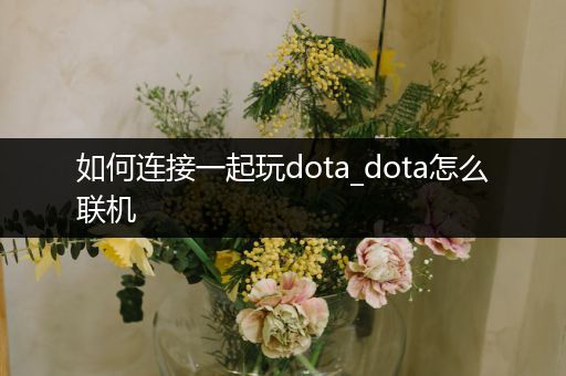 如何连接一起玩dota_dota怎么联机