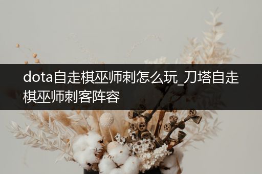 dota自走棋巫师刺怎么玩_刀塔自走棋巫师刺客阵容