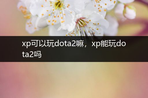 xp可以玩dota2嘛，xp能玩dota2吗