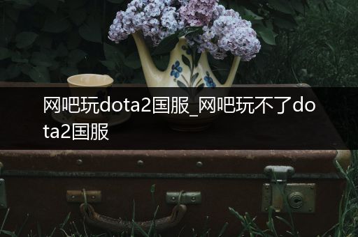 网吧玩dota2国服_网吧玩不了dota2国服