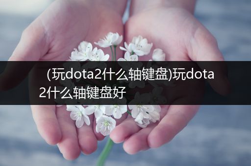 （玩dota2什么轴键盘)玩dota2什么轴键盘好