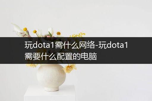 玩dota1需什么网络-玩dota1需要什么配置的电脑