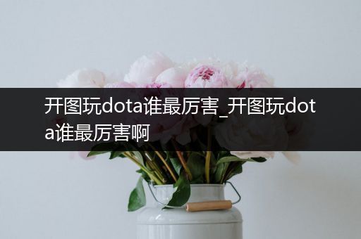 开图玩dota谁最厉害_开图玩dota谁最厉害啊