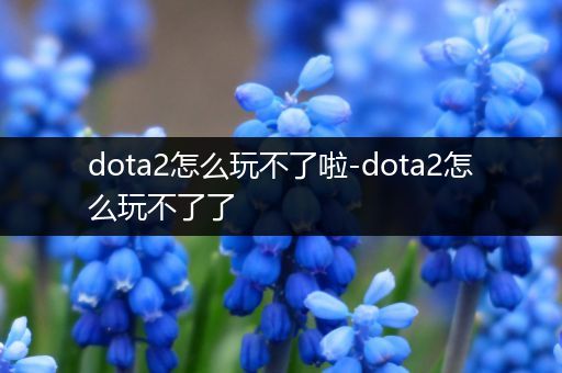 dota2怎么玩不了啦-dota2怎么玩不了了