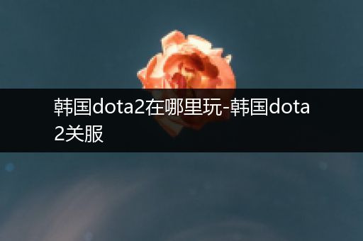 韩国dota2在哪里玩-韩国dota2关服