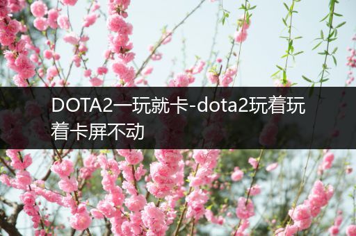 DOTA2一玩就卡-dota2玩着玩着卡屏不动