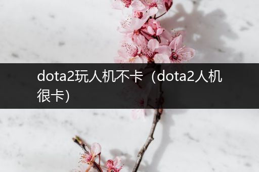 dota2玩人机不卡（dota2人机很卡）