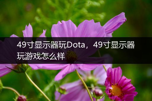 49寸显示器玩Dota，49寸显示器玩游戏怎么样