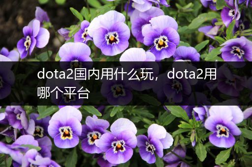 dota2国内用什么玩，dota2用哪个平台